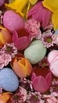 pic for Easter Eggs And Flowers 